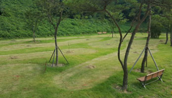 파크골프장 이미지