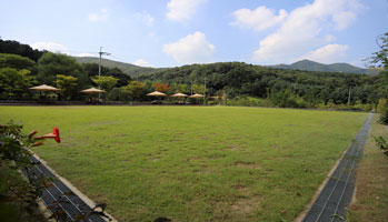 반디뜨락 이미지