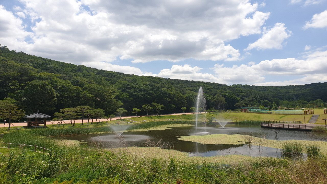 물새연못 이미지