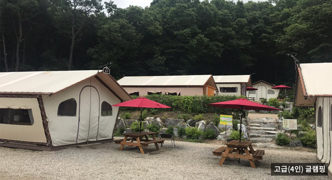 고급(4인) 글램핑