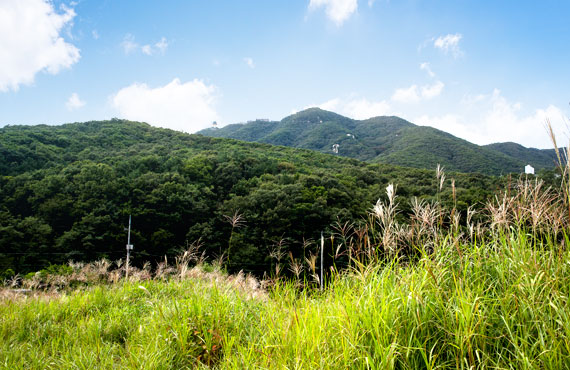 Taeeulbong Peak