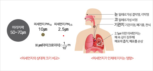 미세먼지가 인체에 미치는 영향 이미지