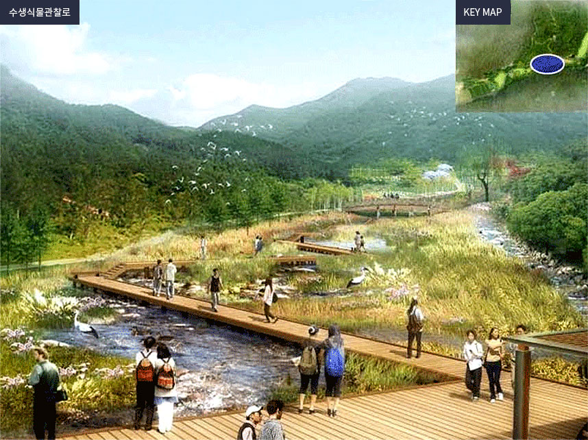 수생식물관찰로 사진