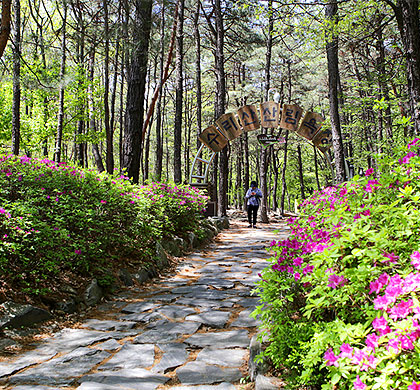 수리산 산림욕장 이미지