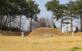 이기조 선생묘 사진